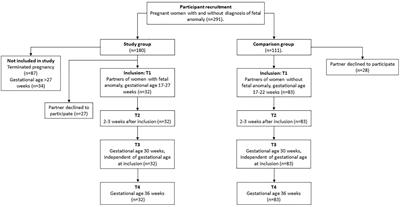 Paternal Psychological Stress After Detection of Fetal Anomaly During Pregnancy. A Prospective Longitudinal Observational Study